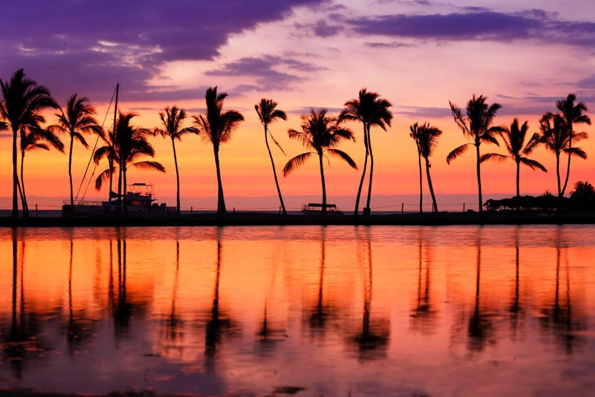 Renovated With City View At Aqua Palms Waikiki Honolulu Ngoại thất bức ảnh